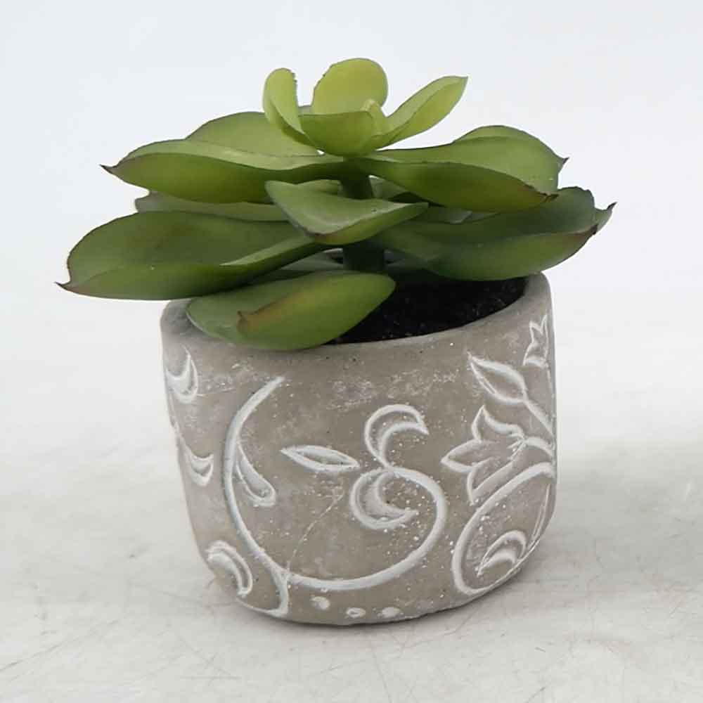 MC20-8528S Succulent Lotus