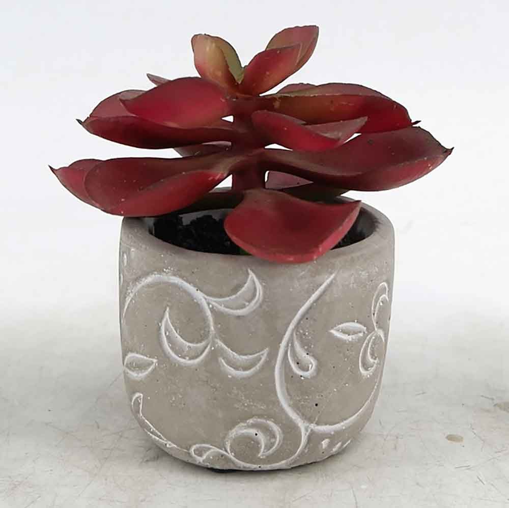 MC20-8528S Succulent Lotus
