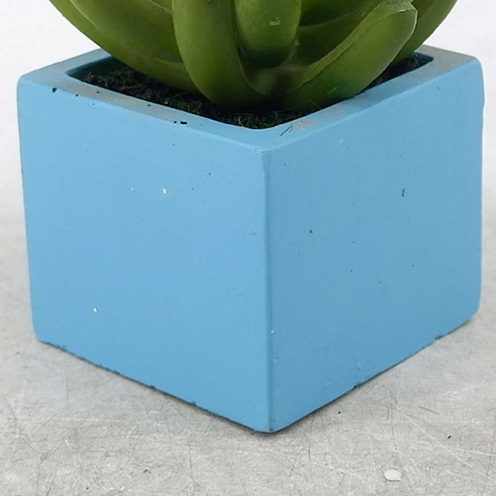 MC21-11348S Succulent Lotus