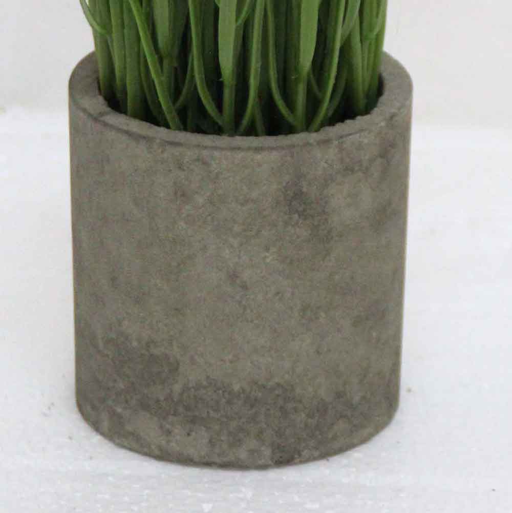 MC2620 Grass