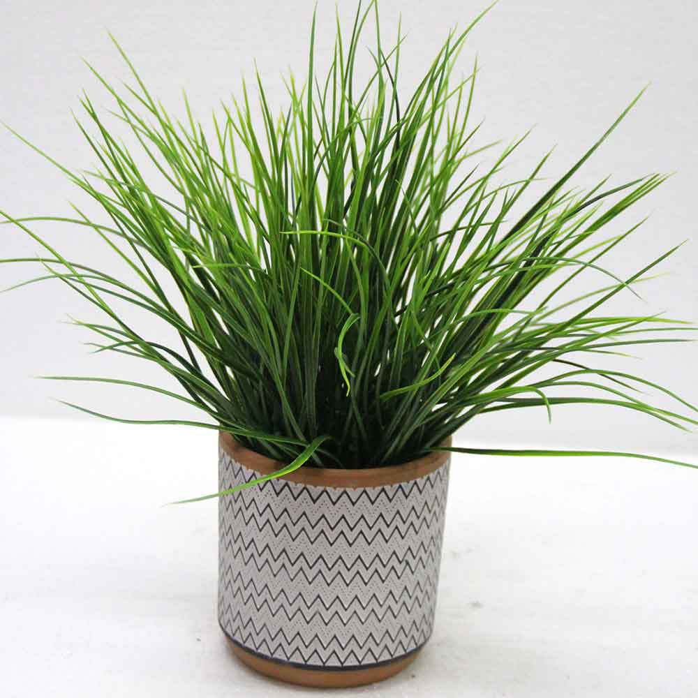 MC2650 Grass