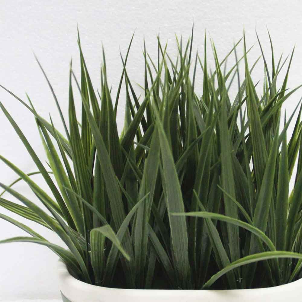 MC2706 Grass