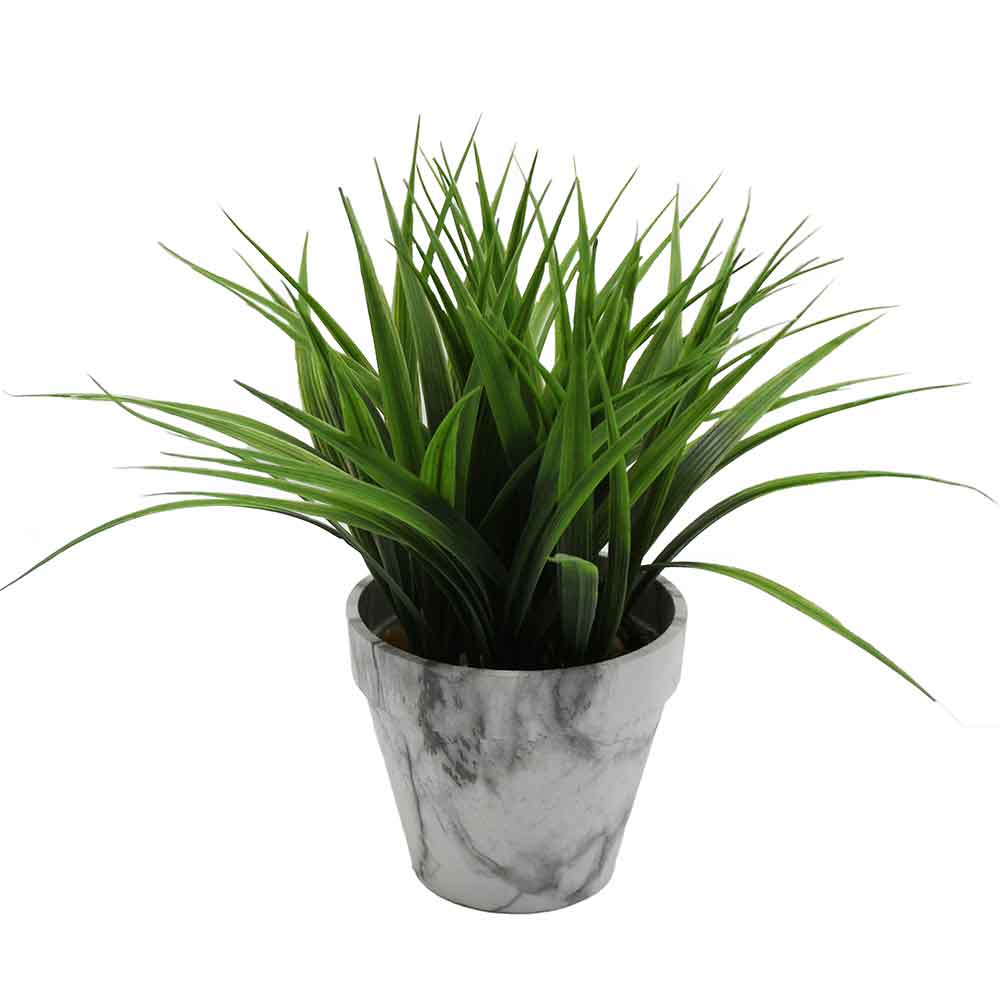 MC2972 Grass
