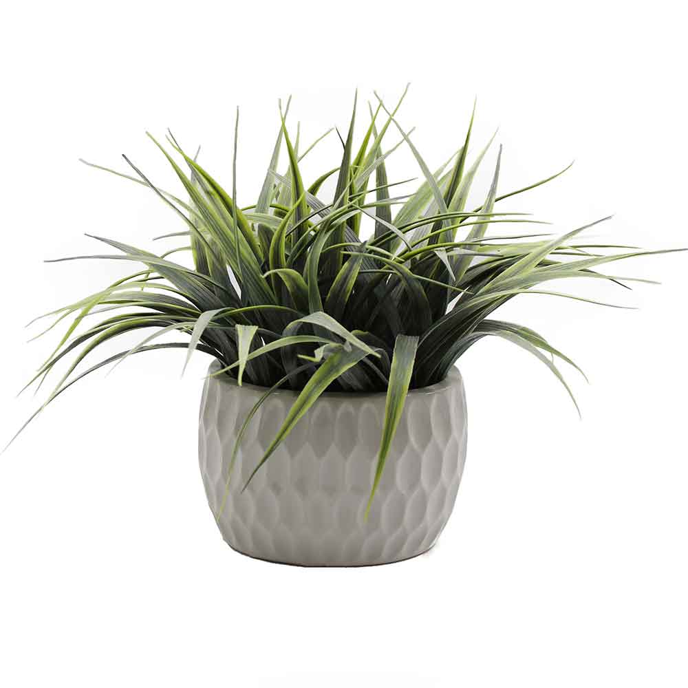 MC2973 Grass