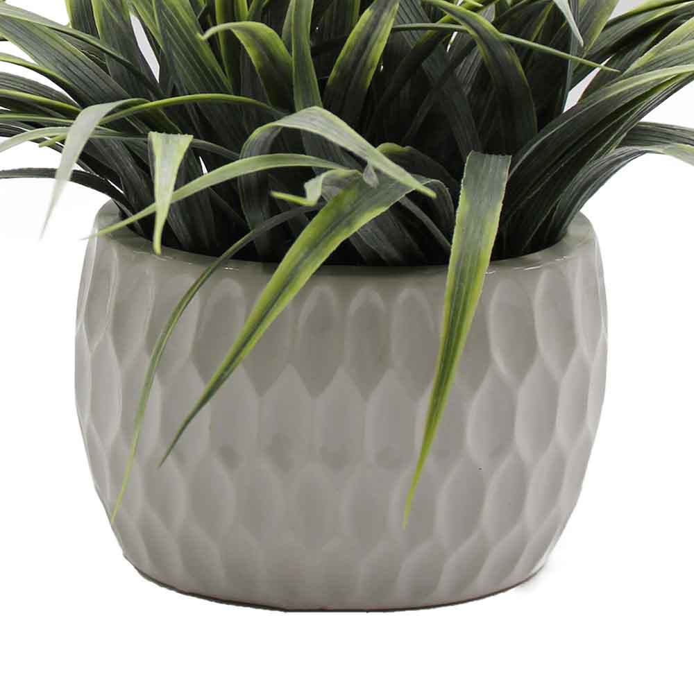 MC2973 Grass