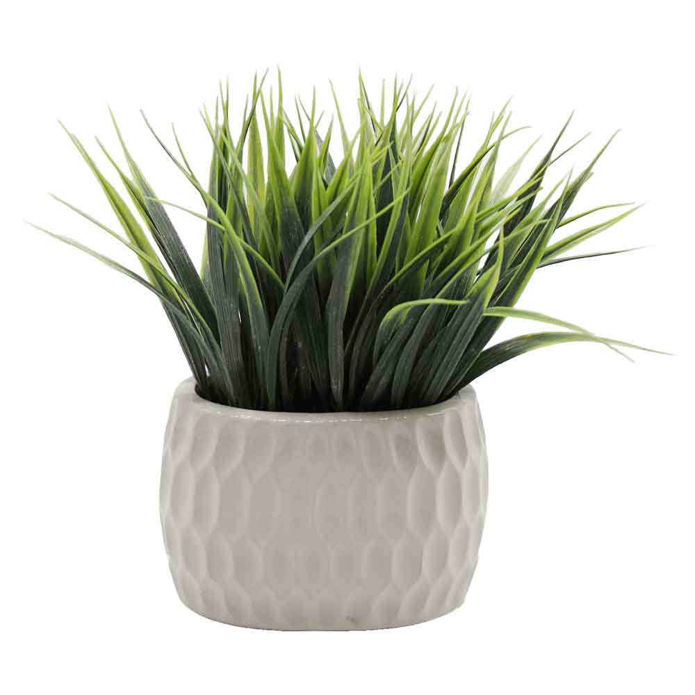 MC2974 Grass