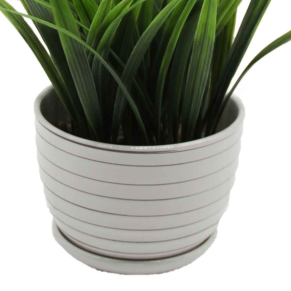 MC2976 Grass