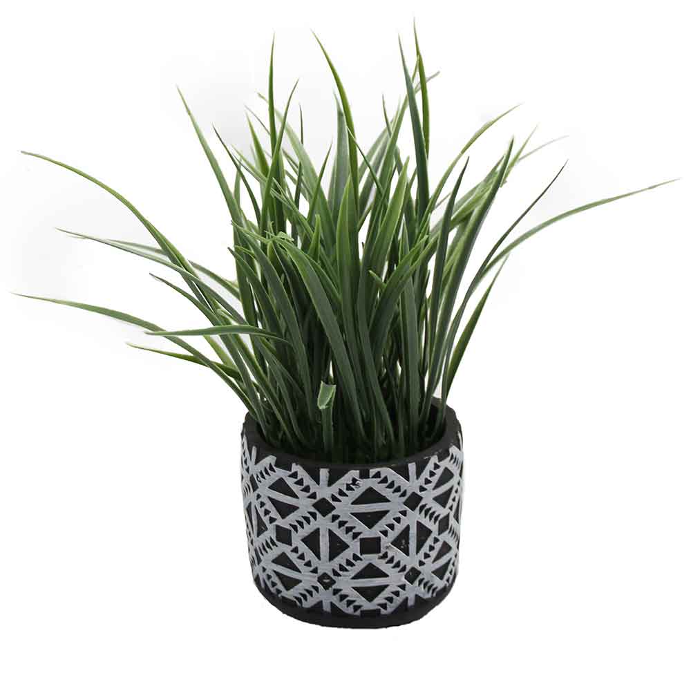 MC2980 Grass