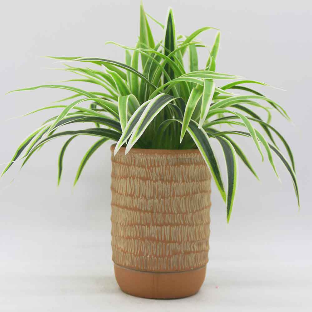 MC3460 Grass