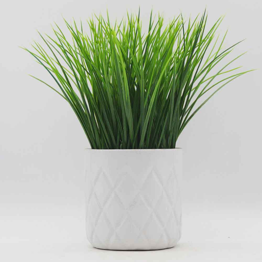 MC3449 Grass