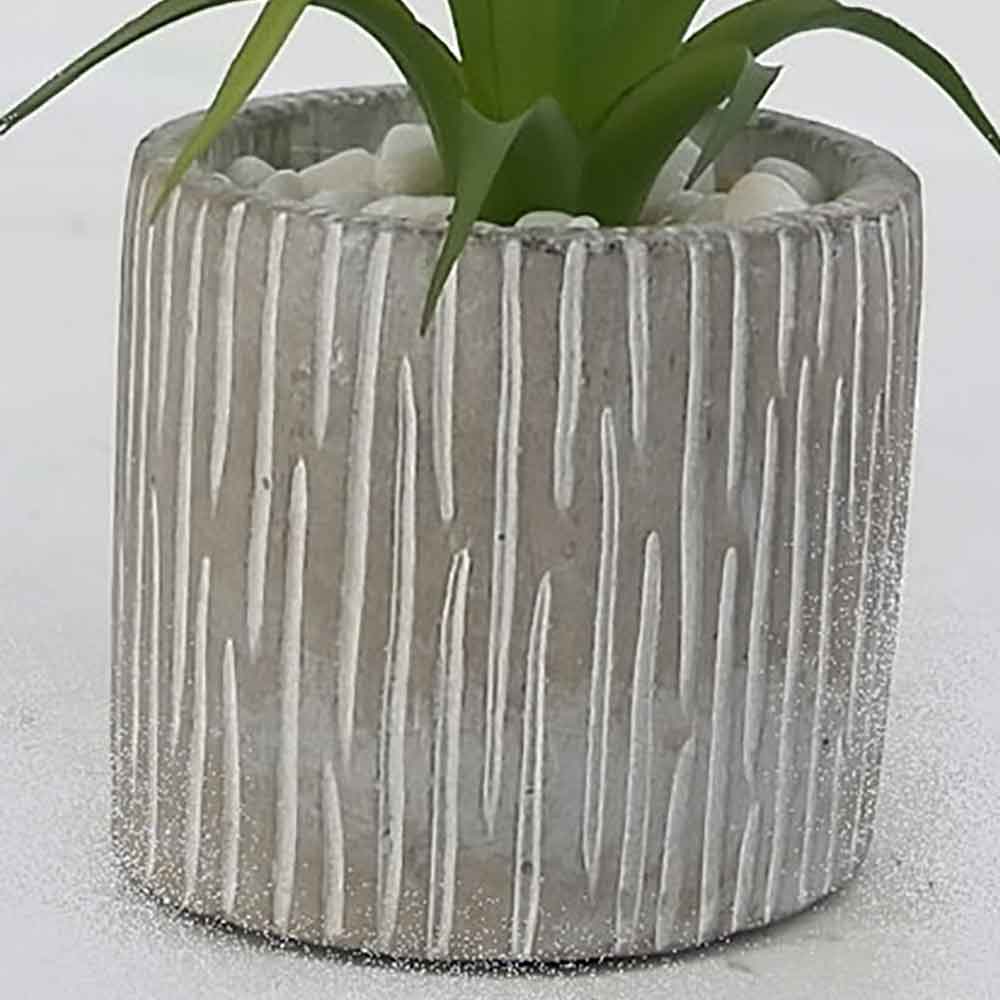 MC17-3406S Succulent Single