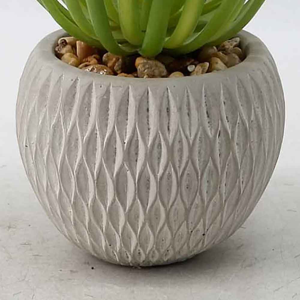 MC20-9726S Succulent Single