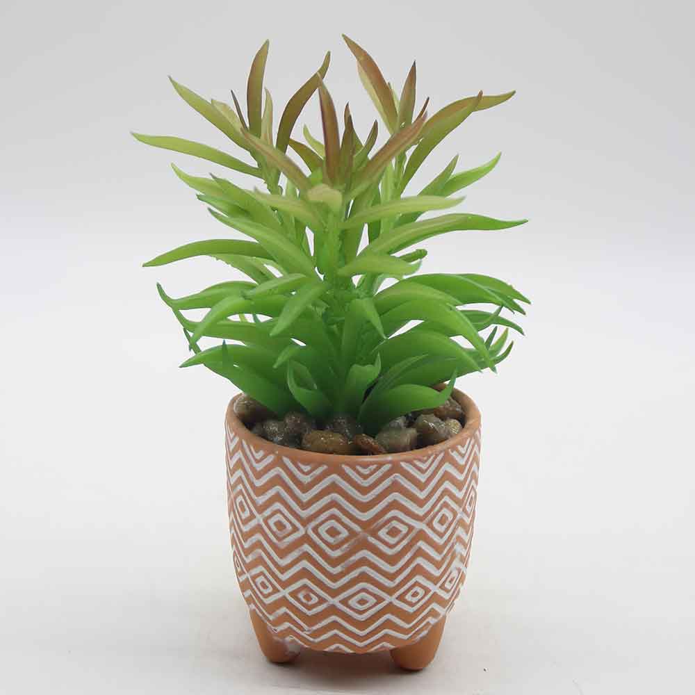 MC0055 Succulent Single