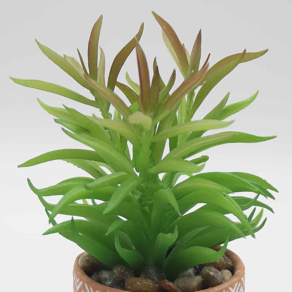 MC0055 Succulent Single