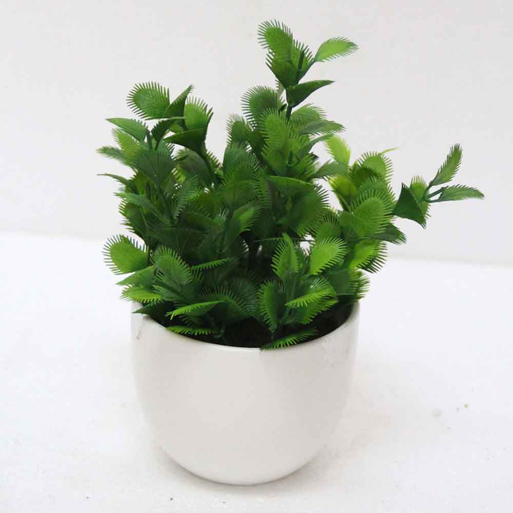 MC2579 Succulent Single
