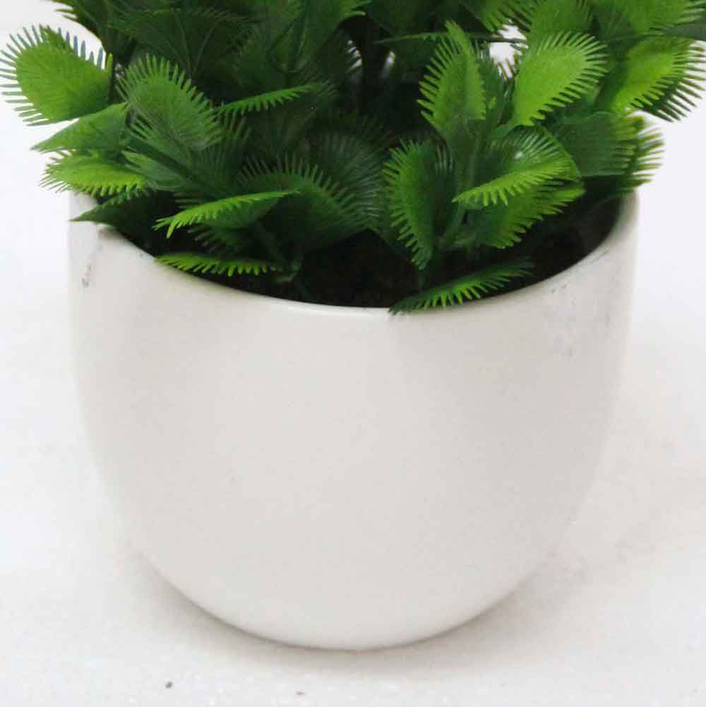 MC2579 Succulent Single