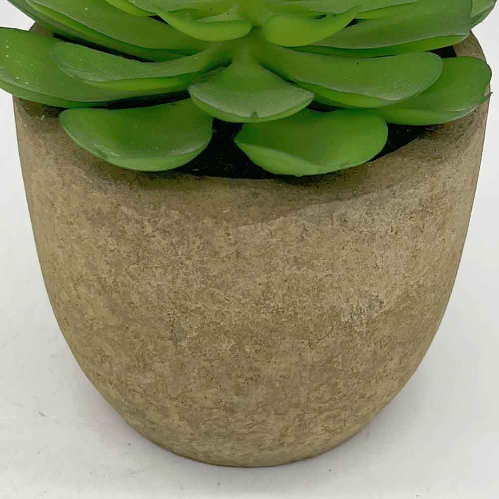 MC3395 Succulent Single