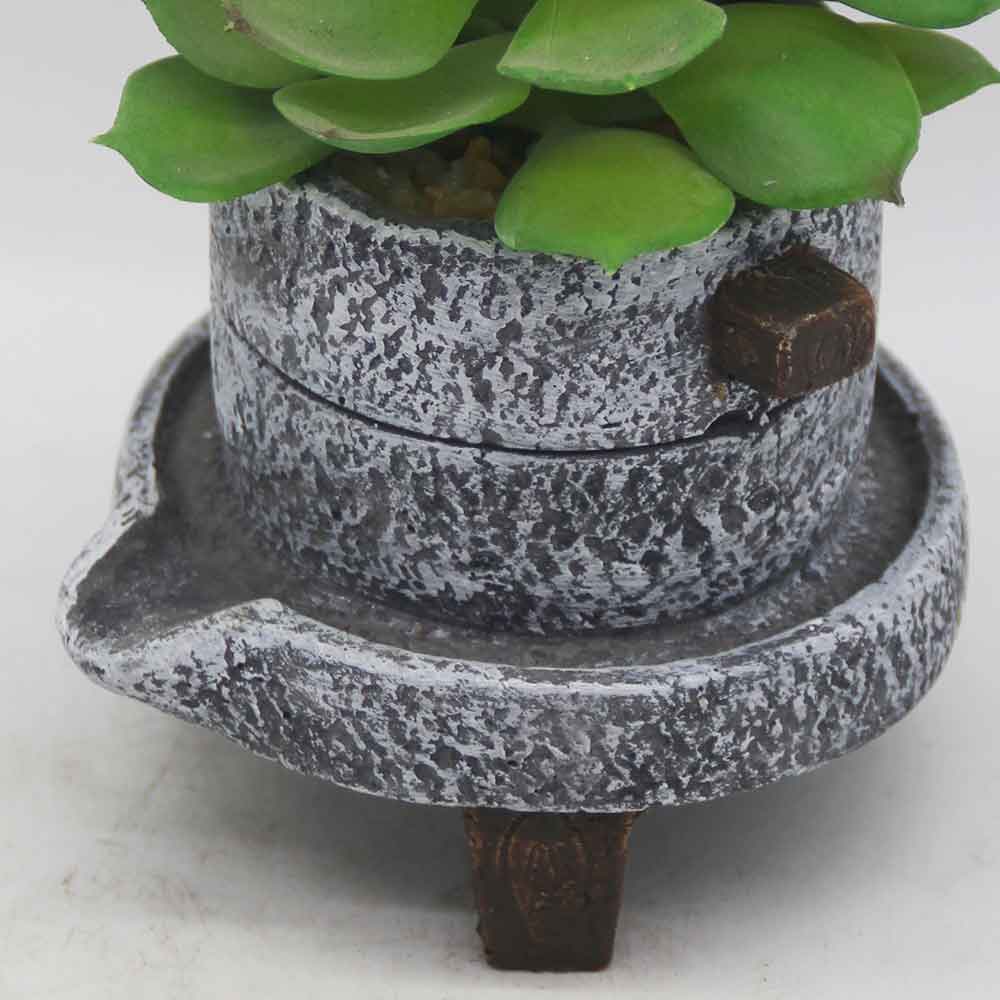 MC3495 Succulent Single