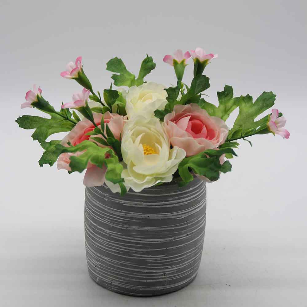 MC0002 Rose