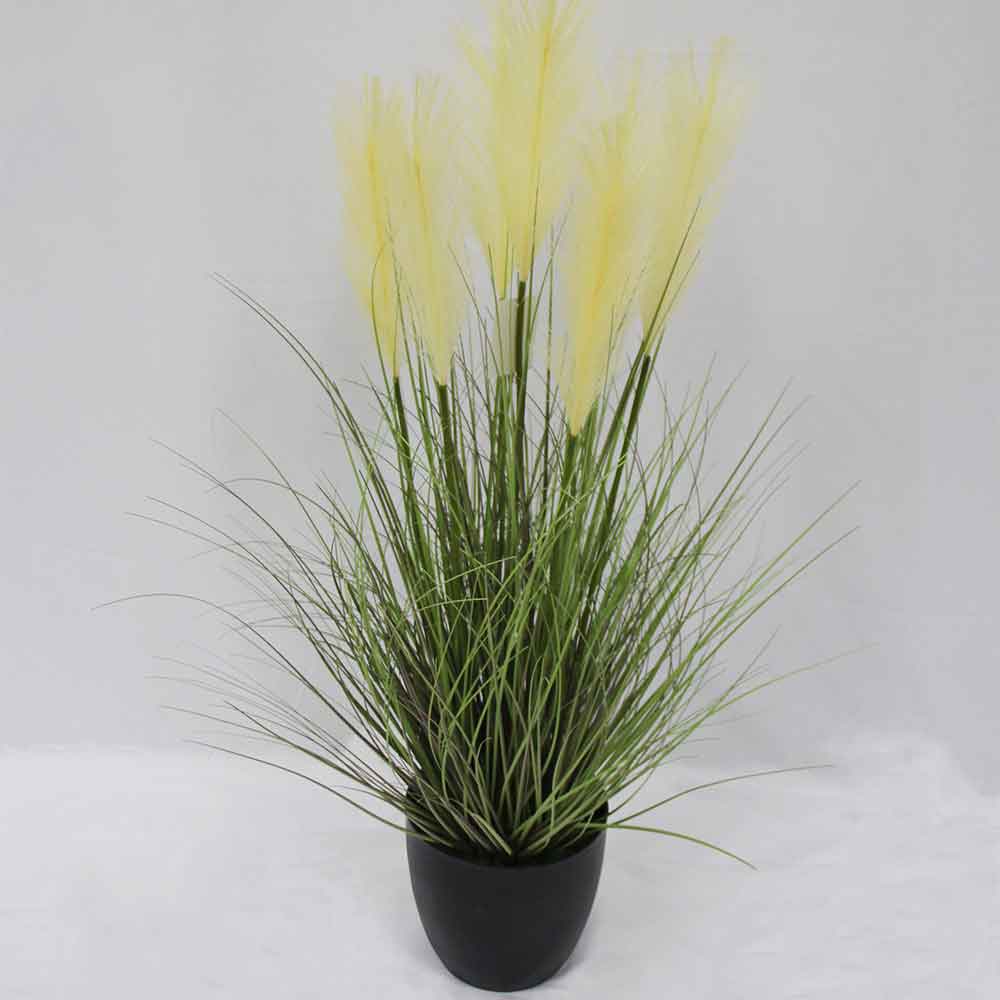 MC2900 Onion Grass