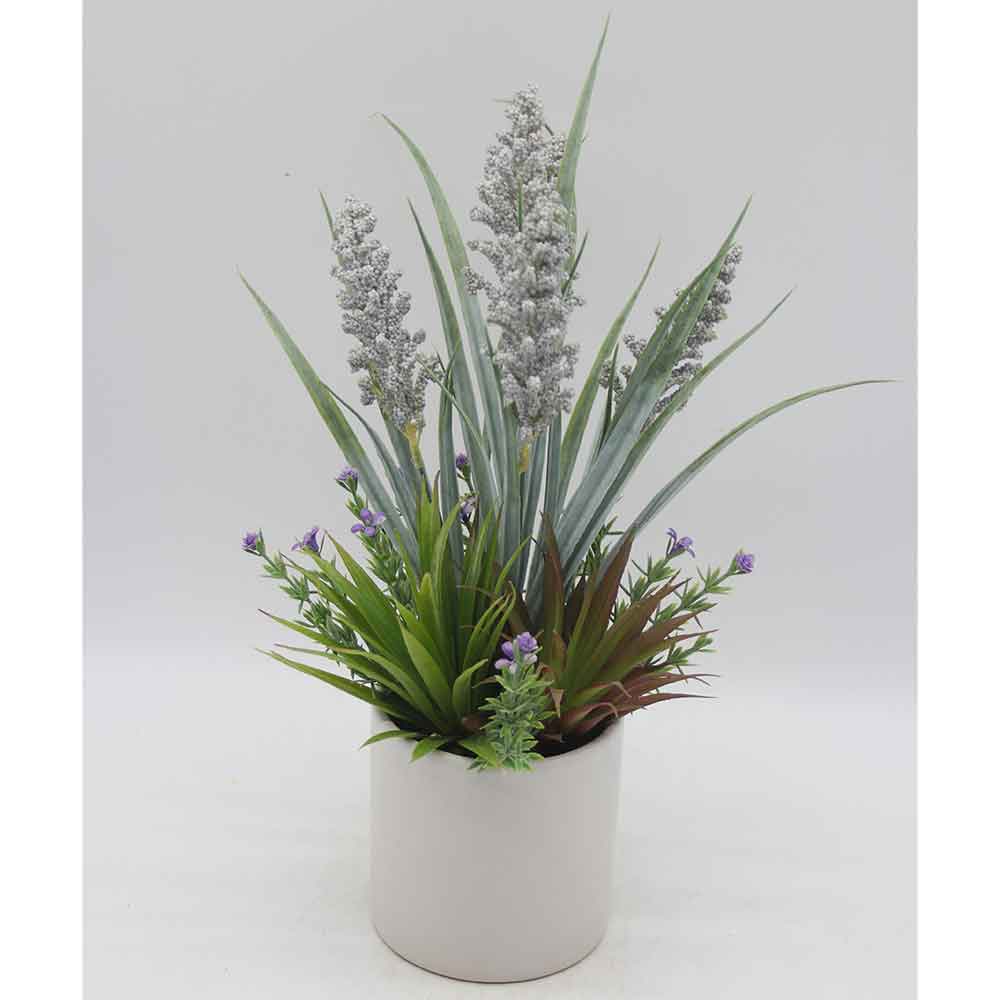 MC0291 Sage