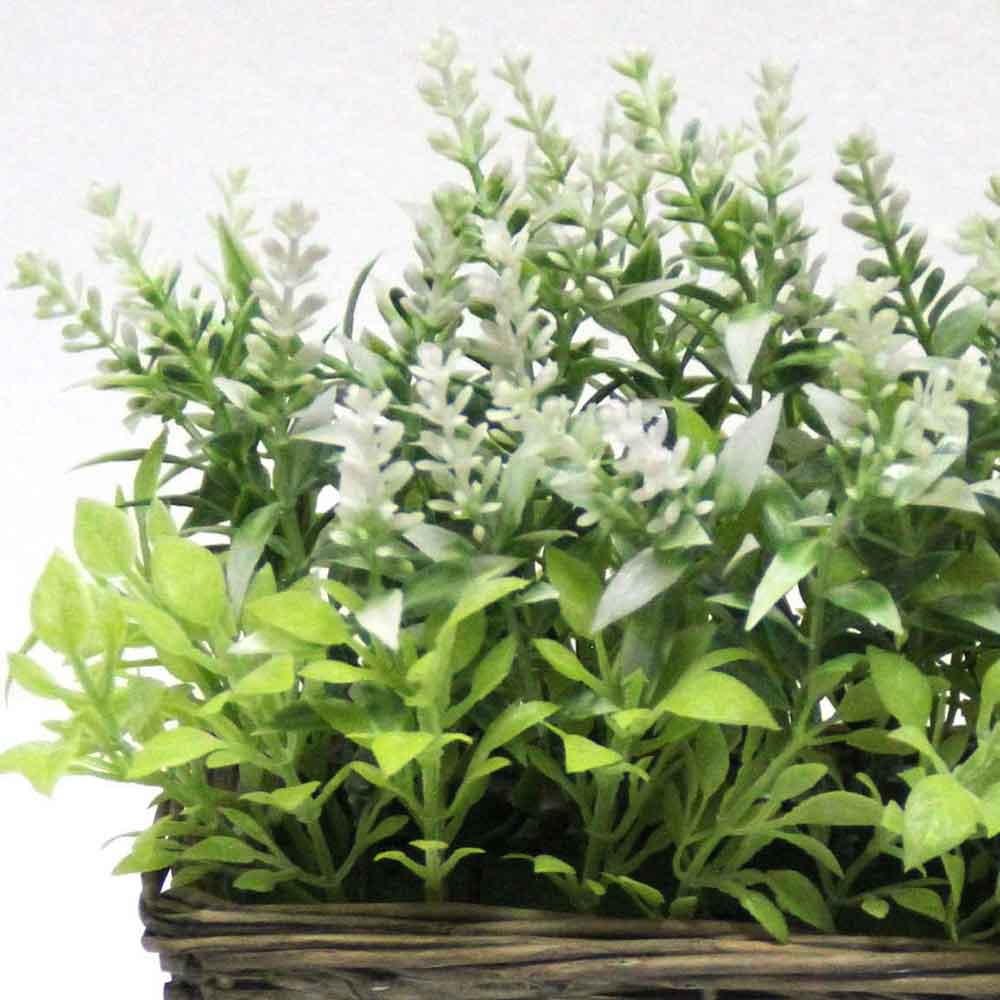 MC2690 Sage