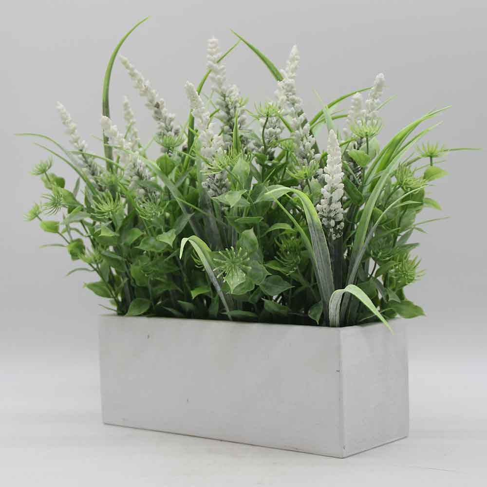 MC0514 Sage New