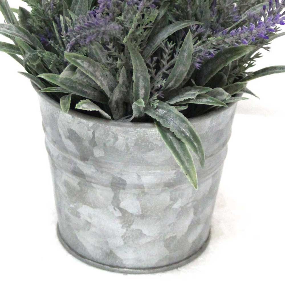 MC2593 Lavender