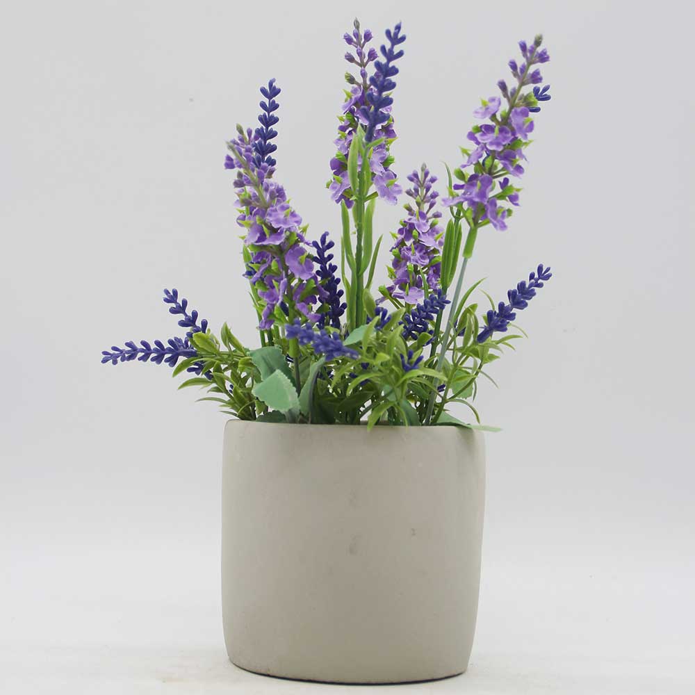 MC0499 Lavender New
