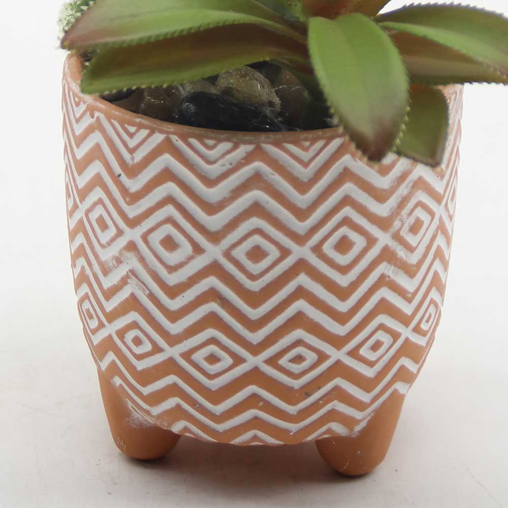 MC0060 Mixed succulent