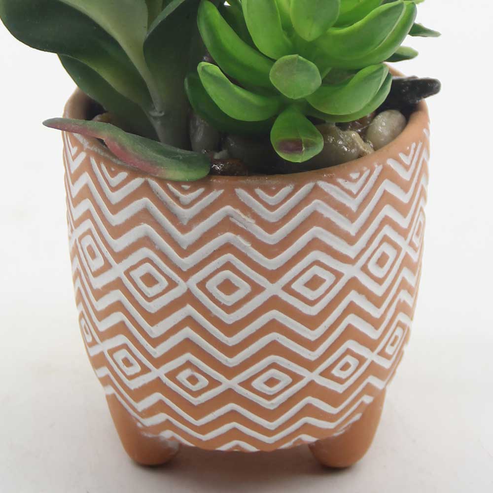 MC0061 Mixed succulent