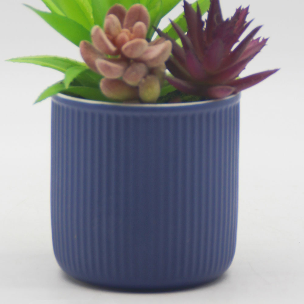 MC0118 Mixed succulent