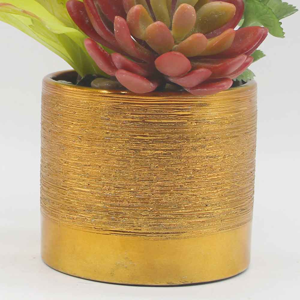 MC0122 Mixed succulent