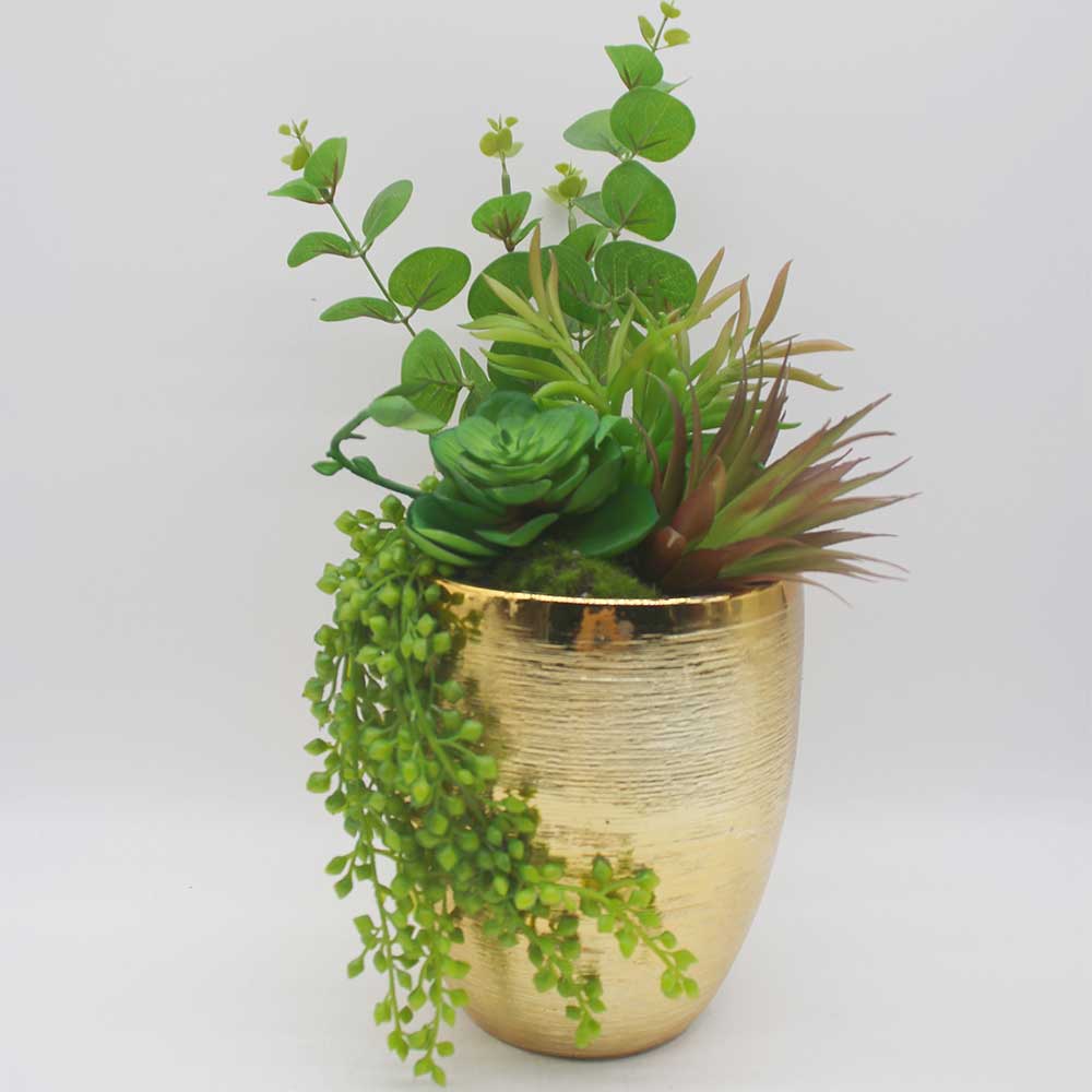 MC0125 Mixed succulent