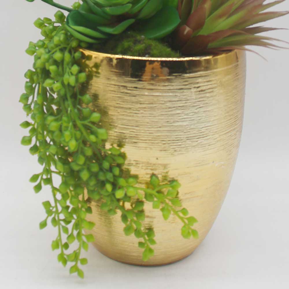 MC0125 Mixed succulent