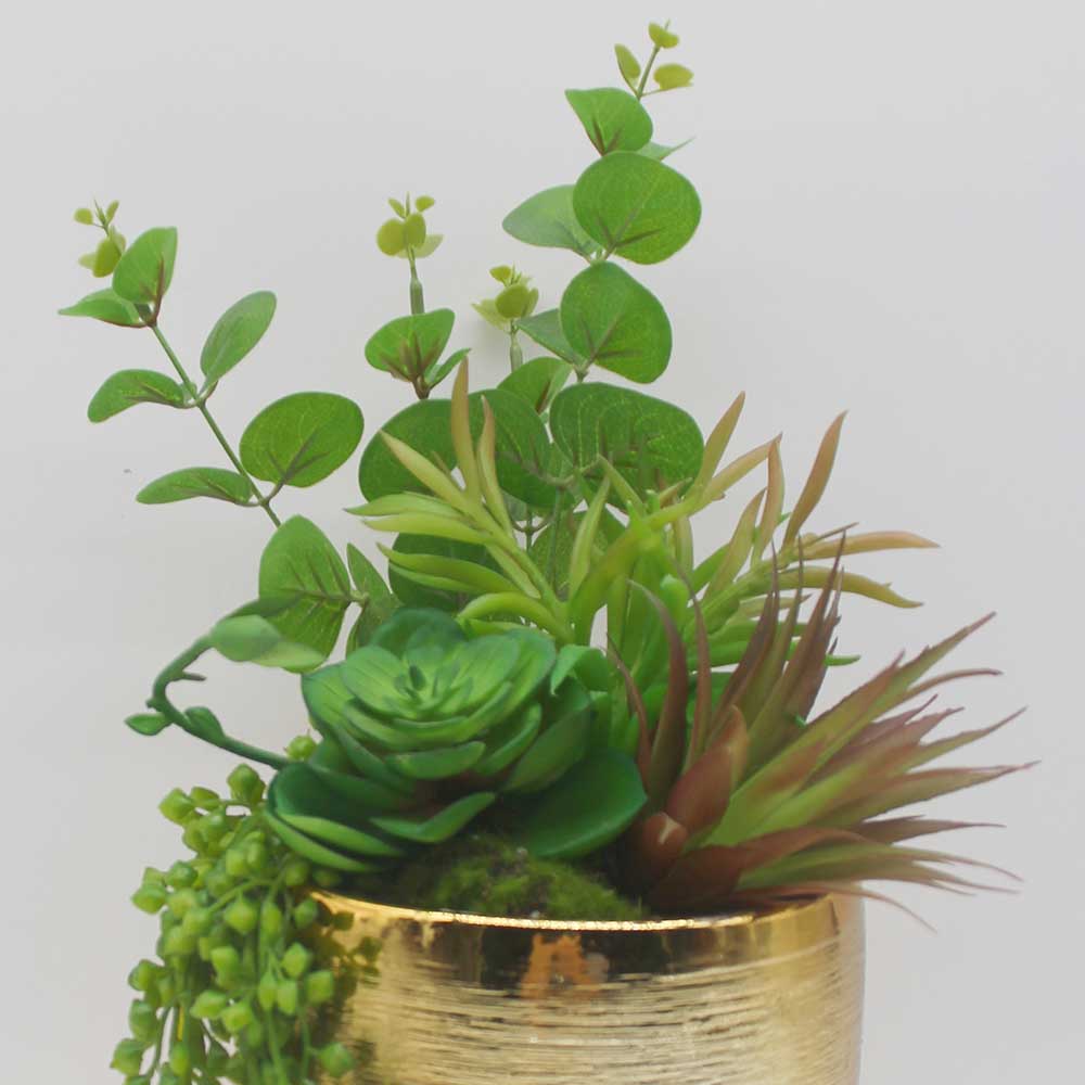 MC0125 Mixed succulent
