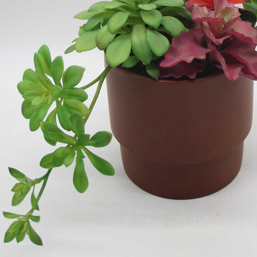 MC0126 Mixed succulent