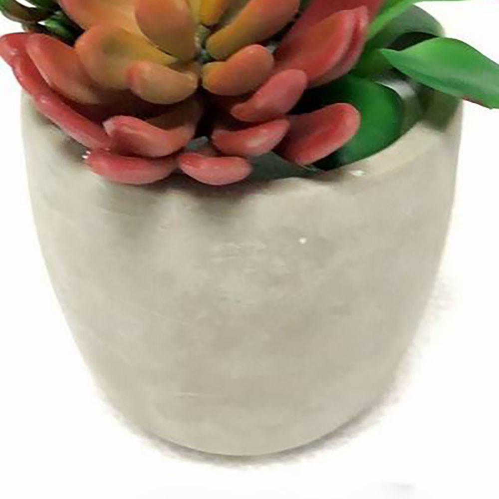 MC2312 Mixed succulent