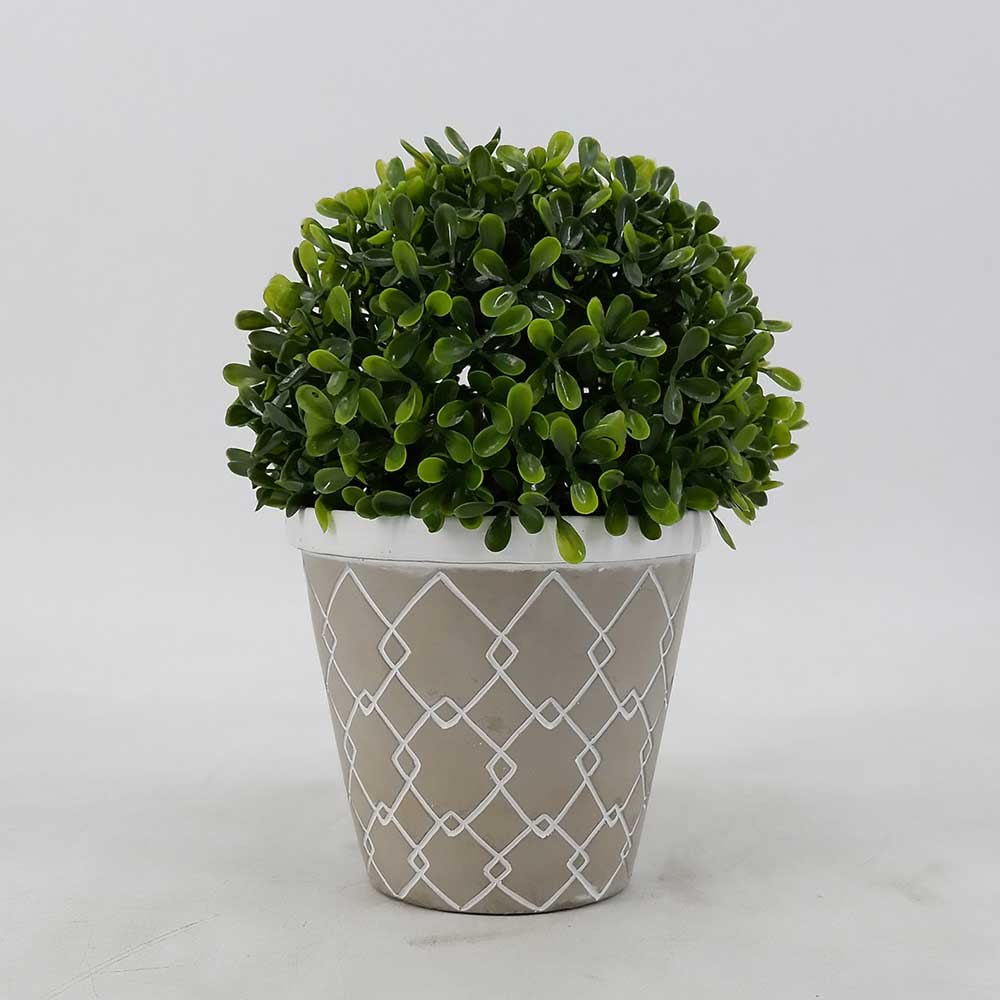 MC18-4445S Topiary Boxwood