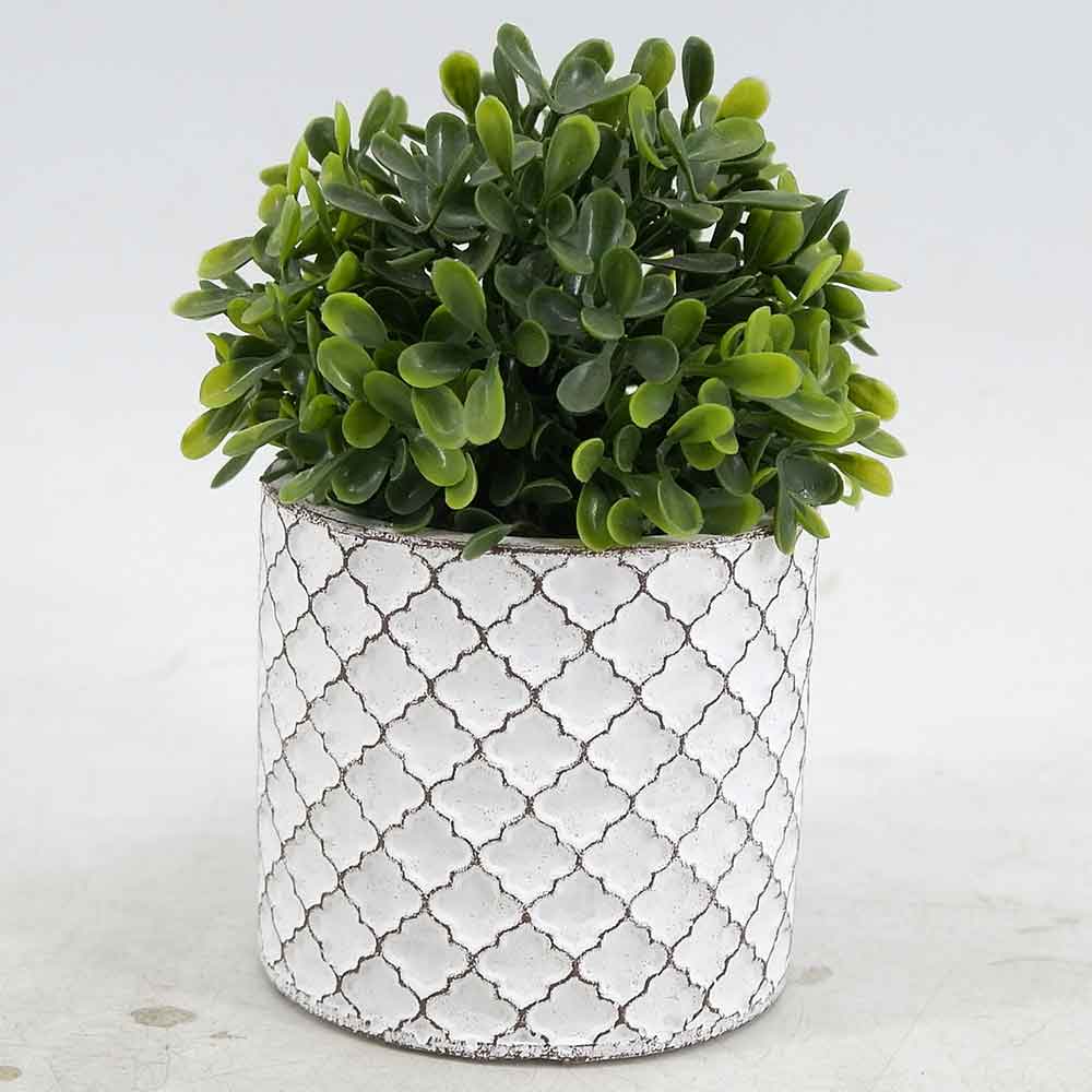 MC19-8296S Topiary Boxwood