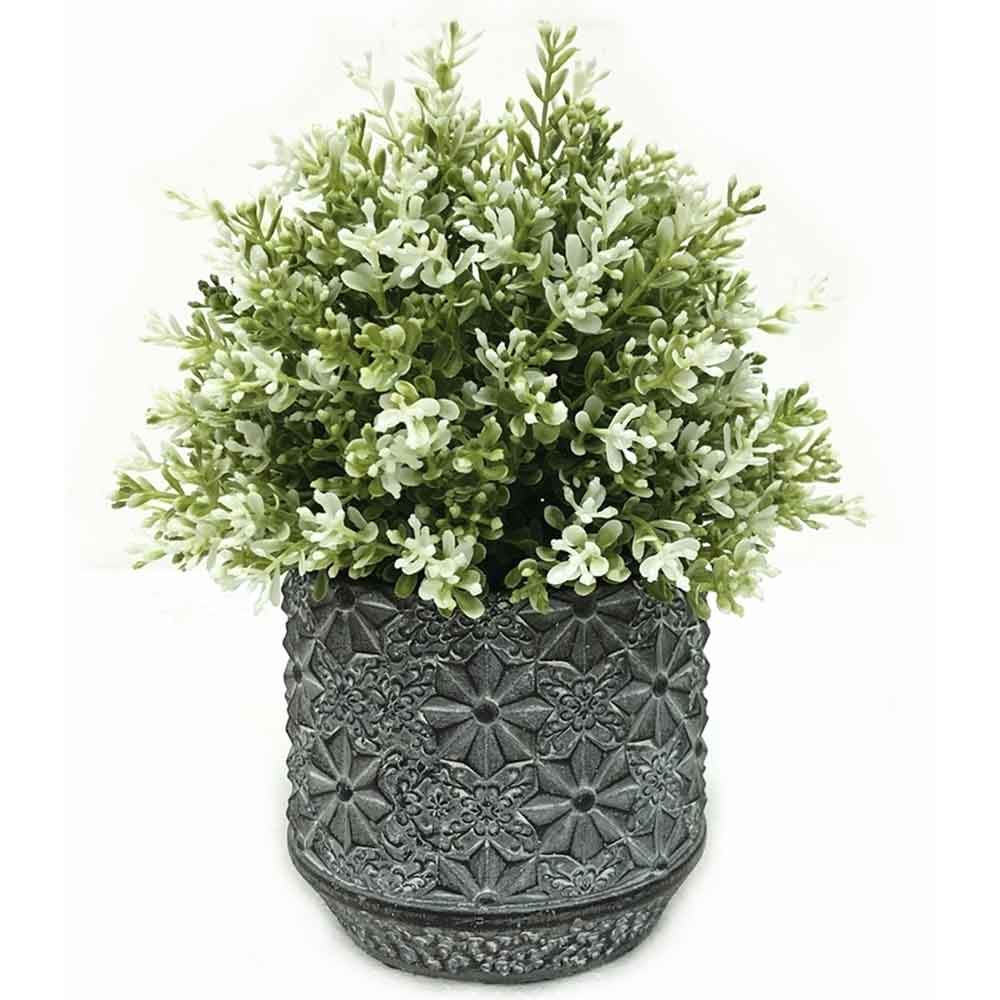 MC2294 Topiary Grass