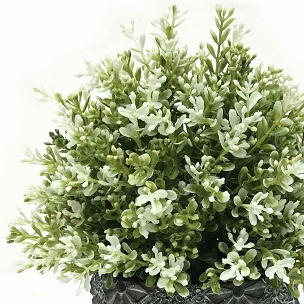 MC2294 Topiary Grass