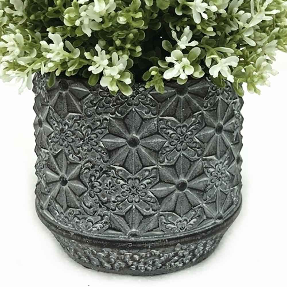 MC2294 Topiary Grass