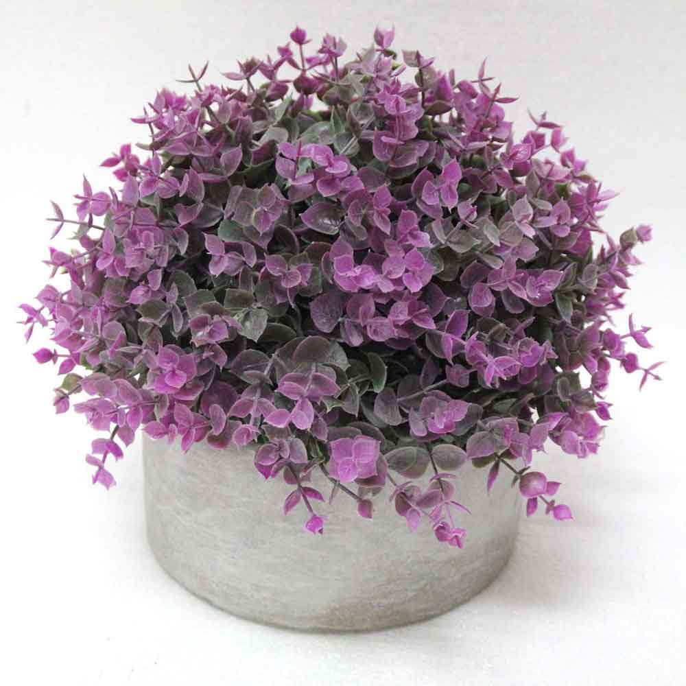 MC2533 Topiary Grass