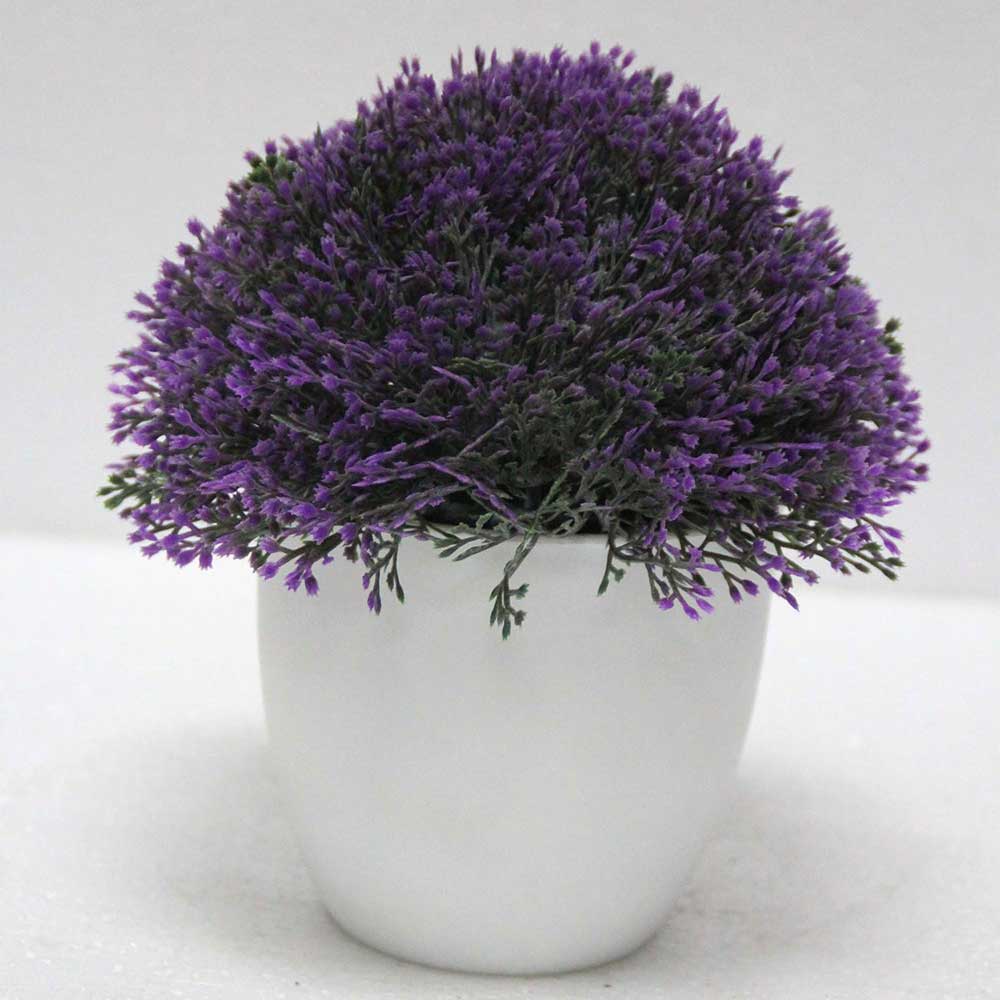 MC2557 Topiary Grass