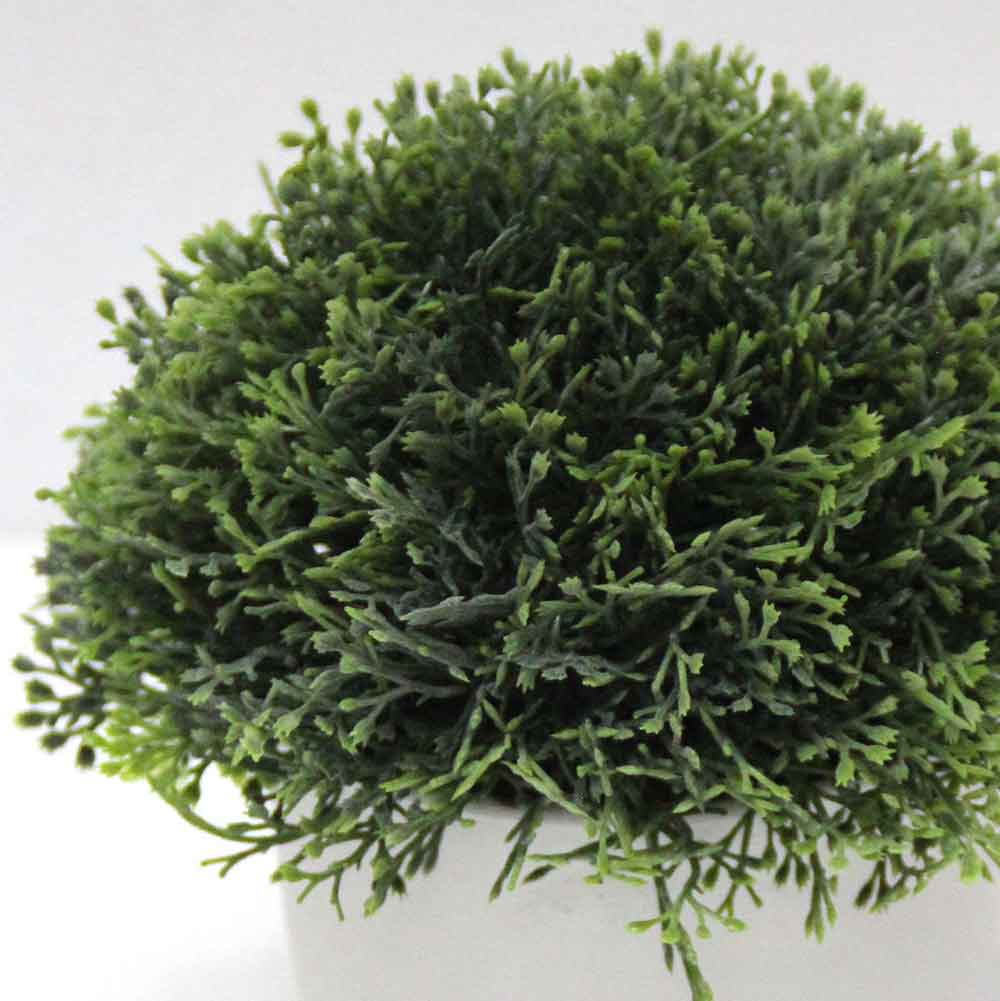 MC2572 Topiary Grass