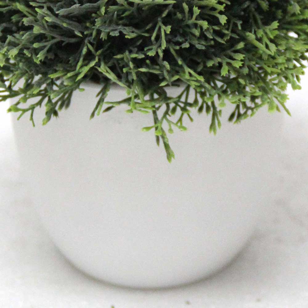 MC2572 Topiary Grass