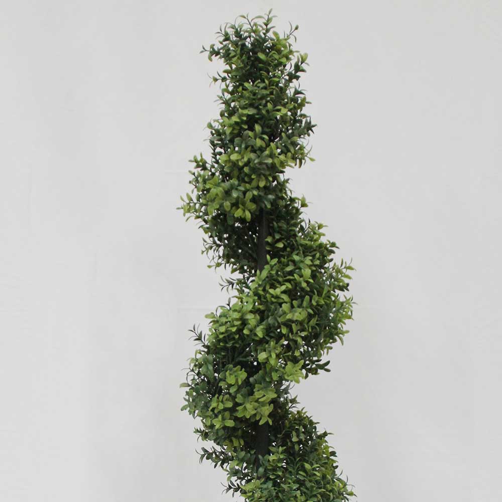 MC2902 Topiary Boxwood