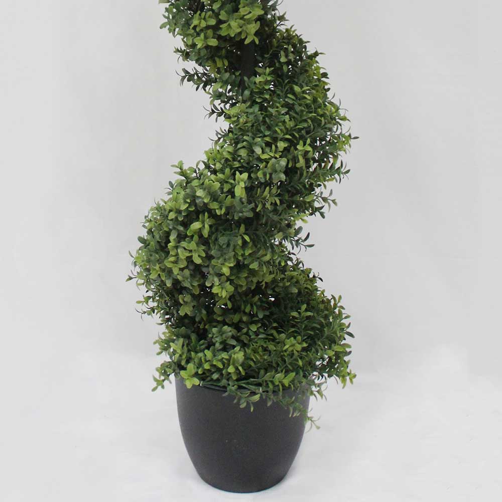 MC2902 Topiary Boxwood