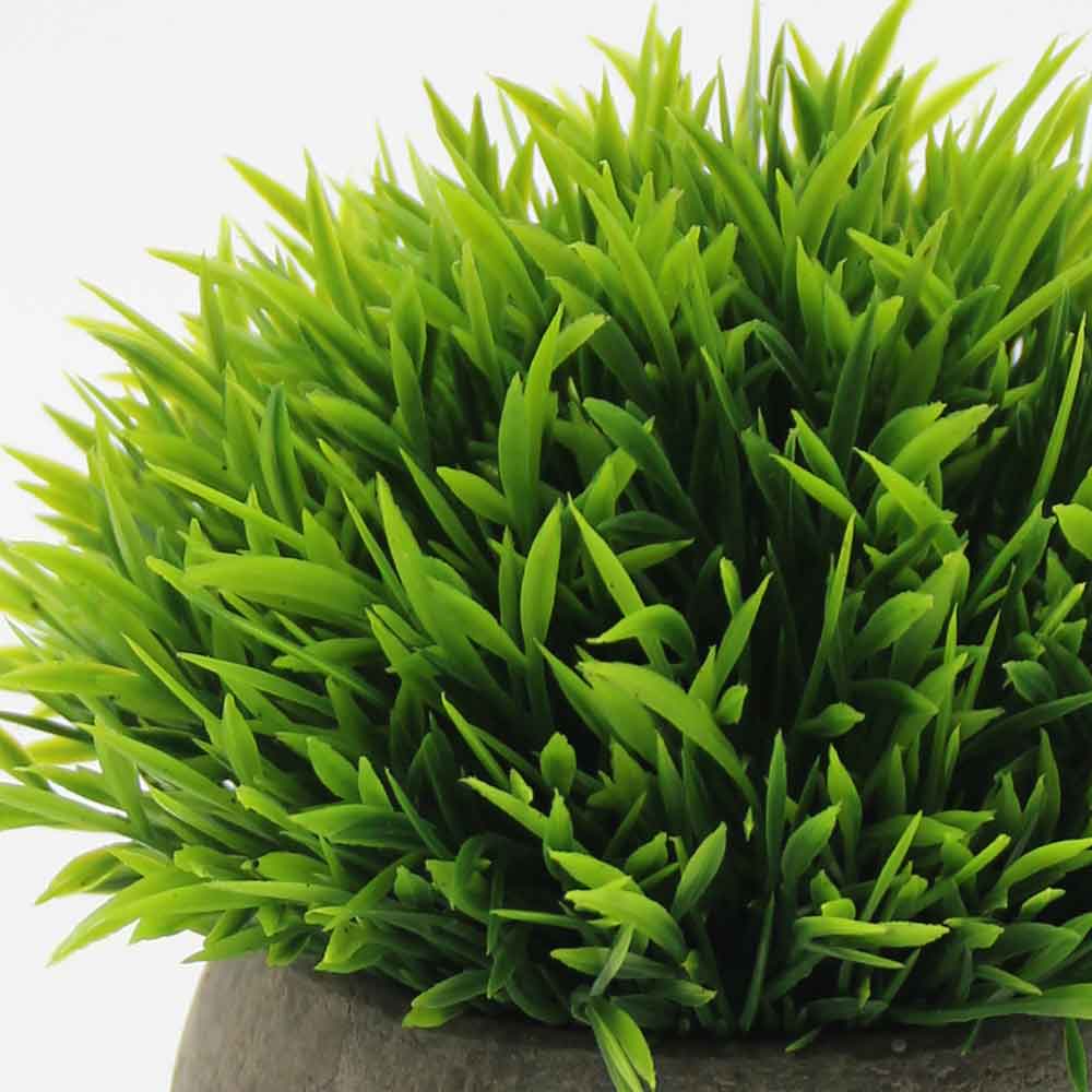 MC2822 Potted Grass